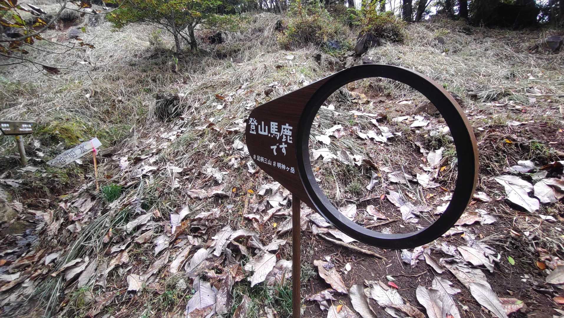 の反対側には
登山馬鹿です🤣
顔をはめて記念撮影大会始まる🤣