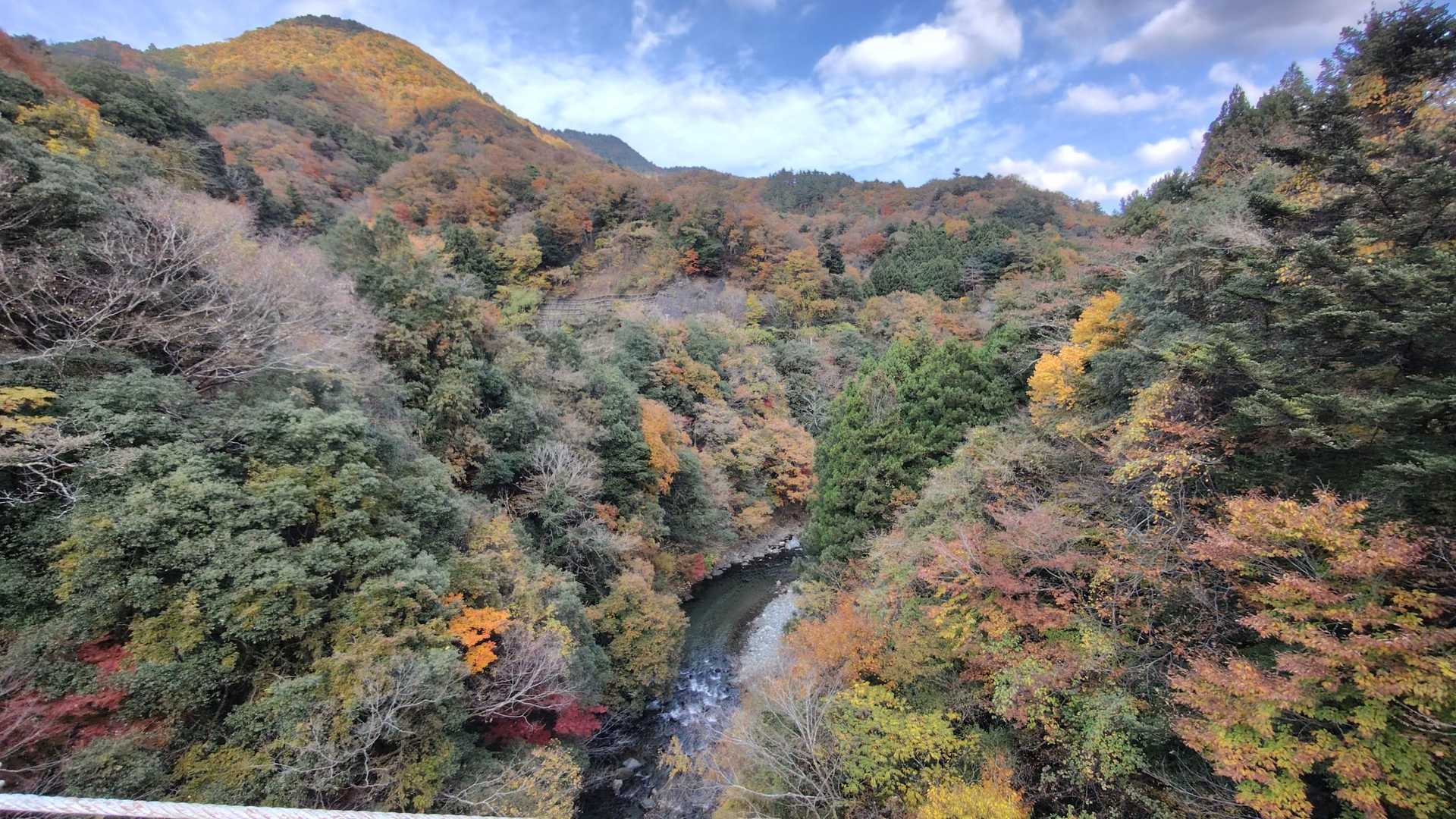 大室山 往復コースの写真