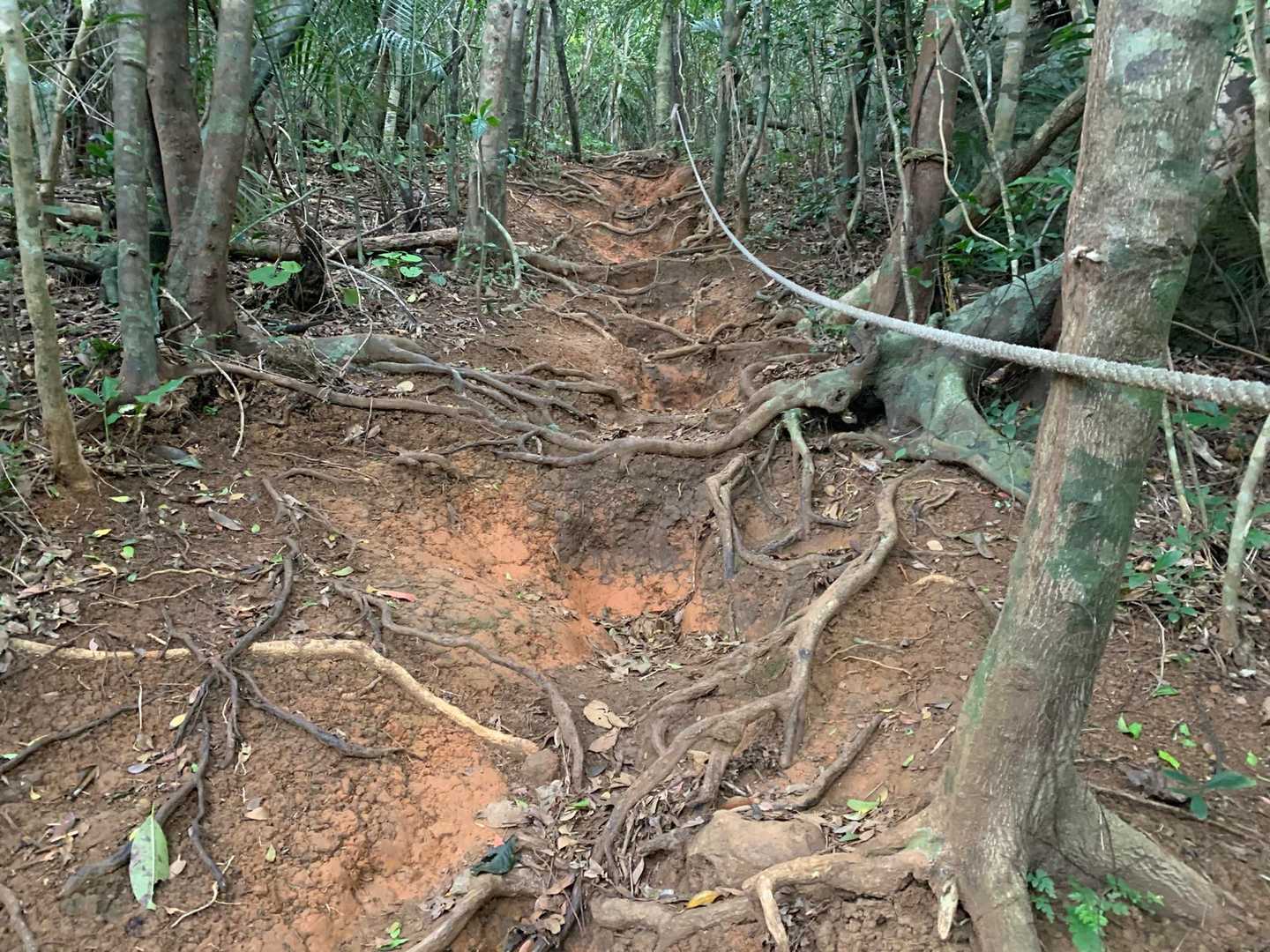 登っていきます！滑らないように💦