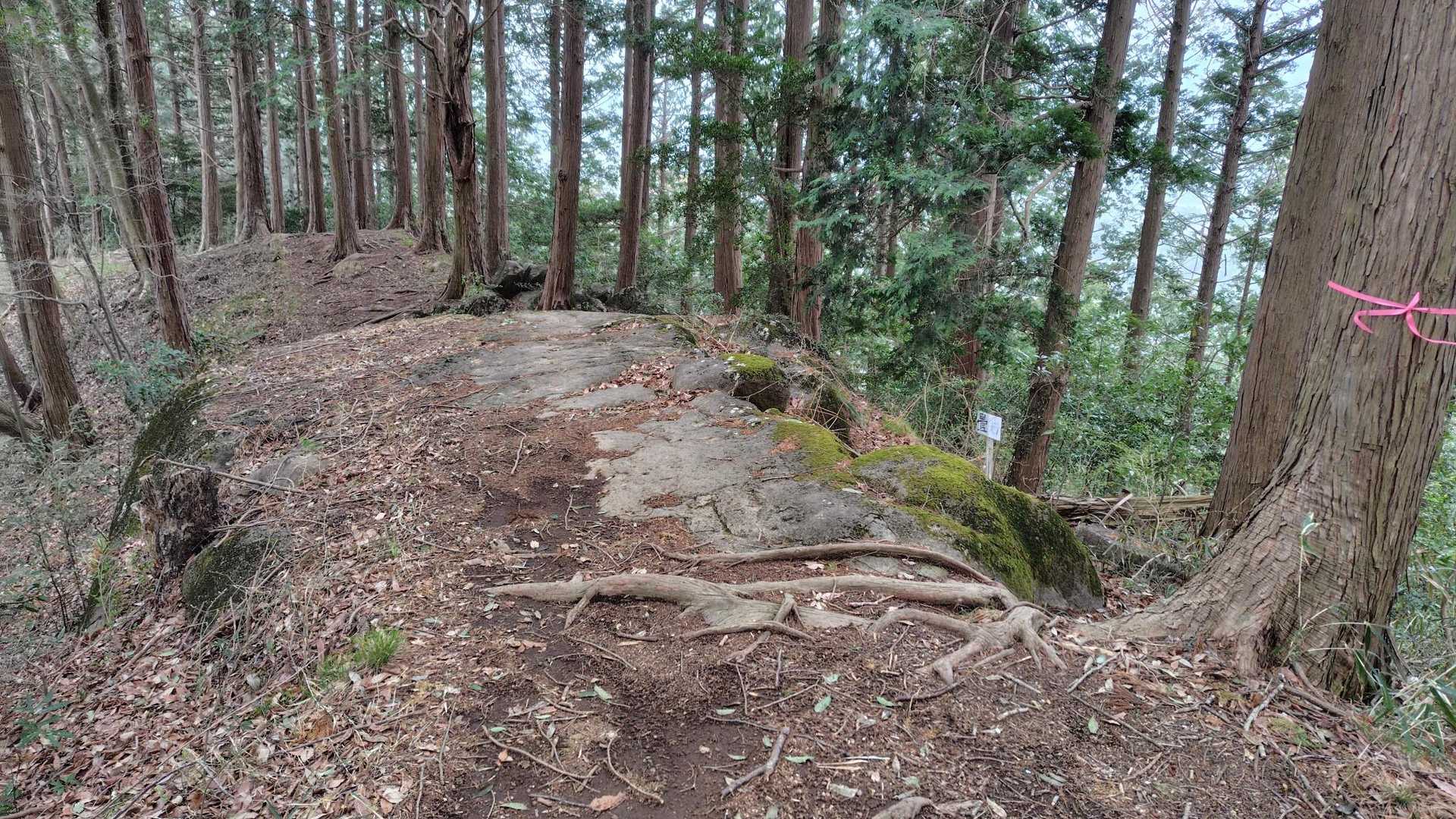 畳岩に到着。