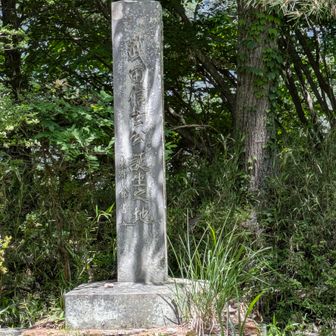 山頂に東郷平八郎の筆の『武田信玄公誕生之地』碑。