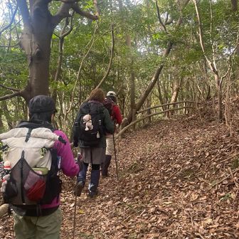 重たいお腹で下山中
帰りはザックの形が悪くなるって話で盛り上がる