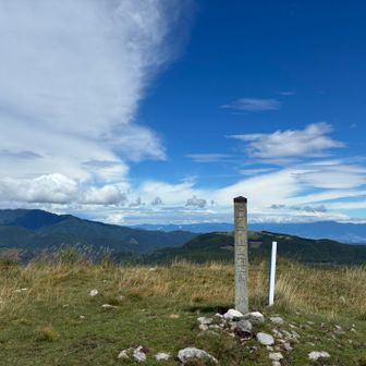 ゼブラ山。