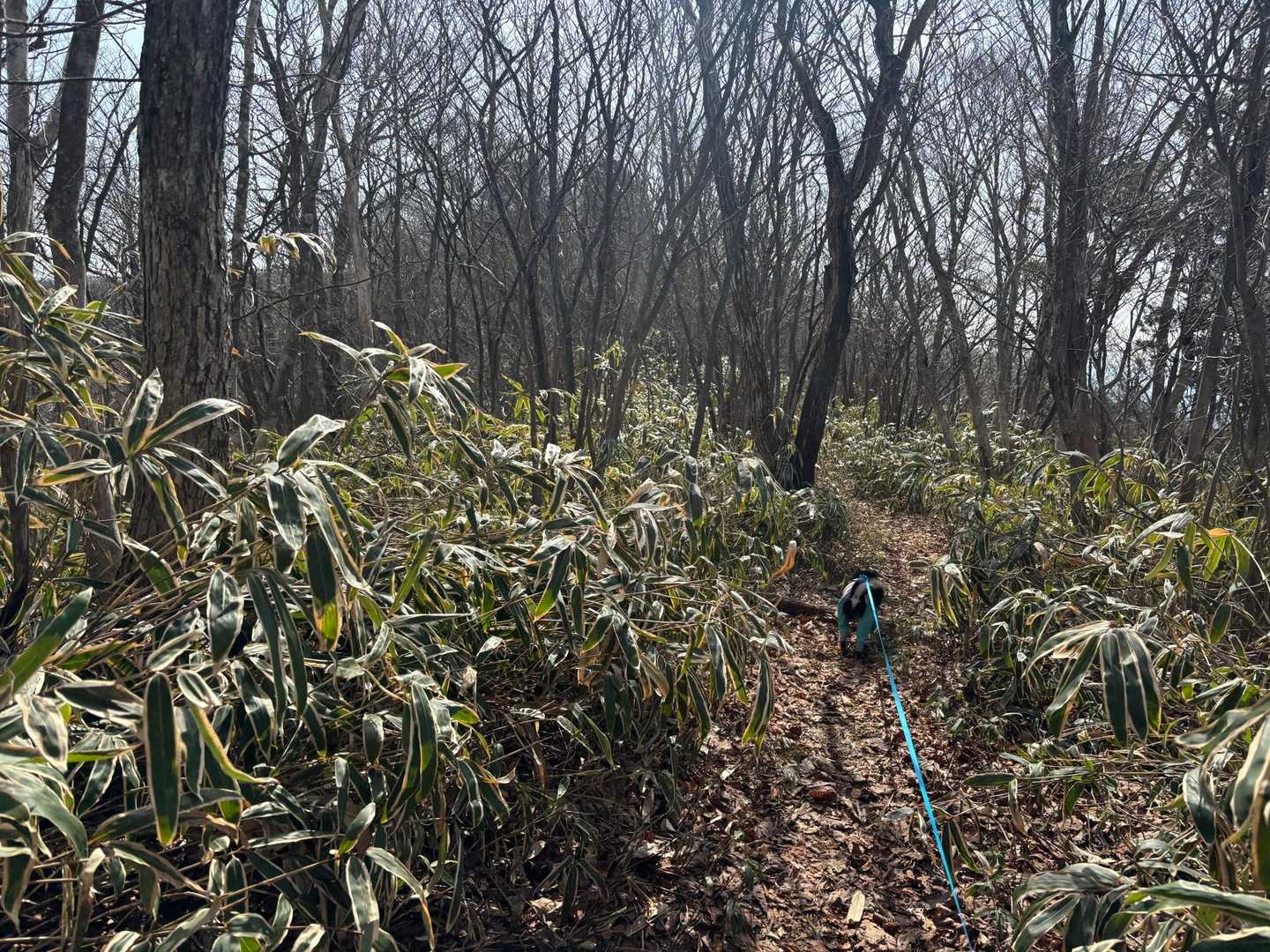 晴れてて良い天気