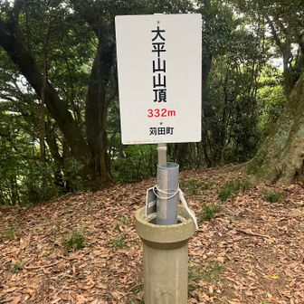 大久保山から少しくだって尻尾生やす
肥えた狸を見た