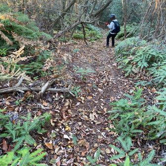 最後に激下り💨