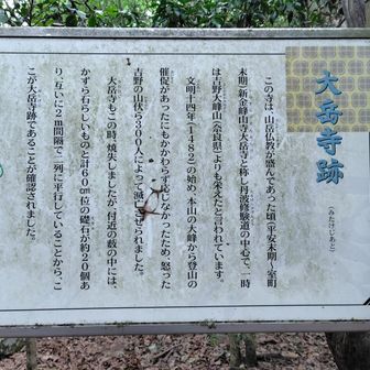 544年前
吉野の山伏300人に滅亡させられた

合掌
