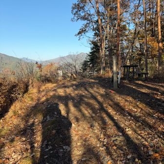 まあまあ広い山頂