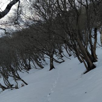 長池～森山岳は静かでいつ来ても良い風景です。