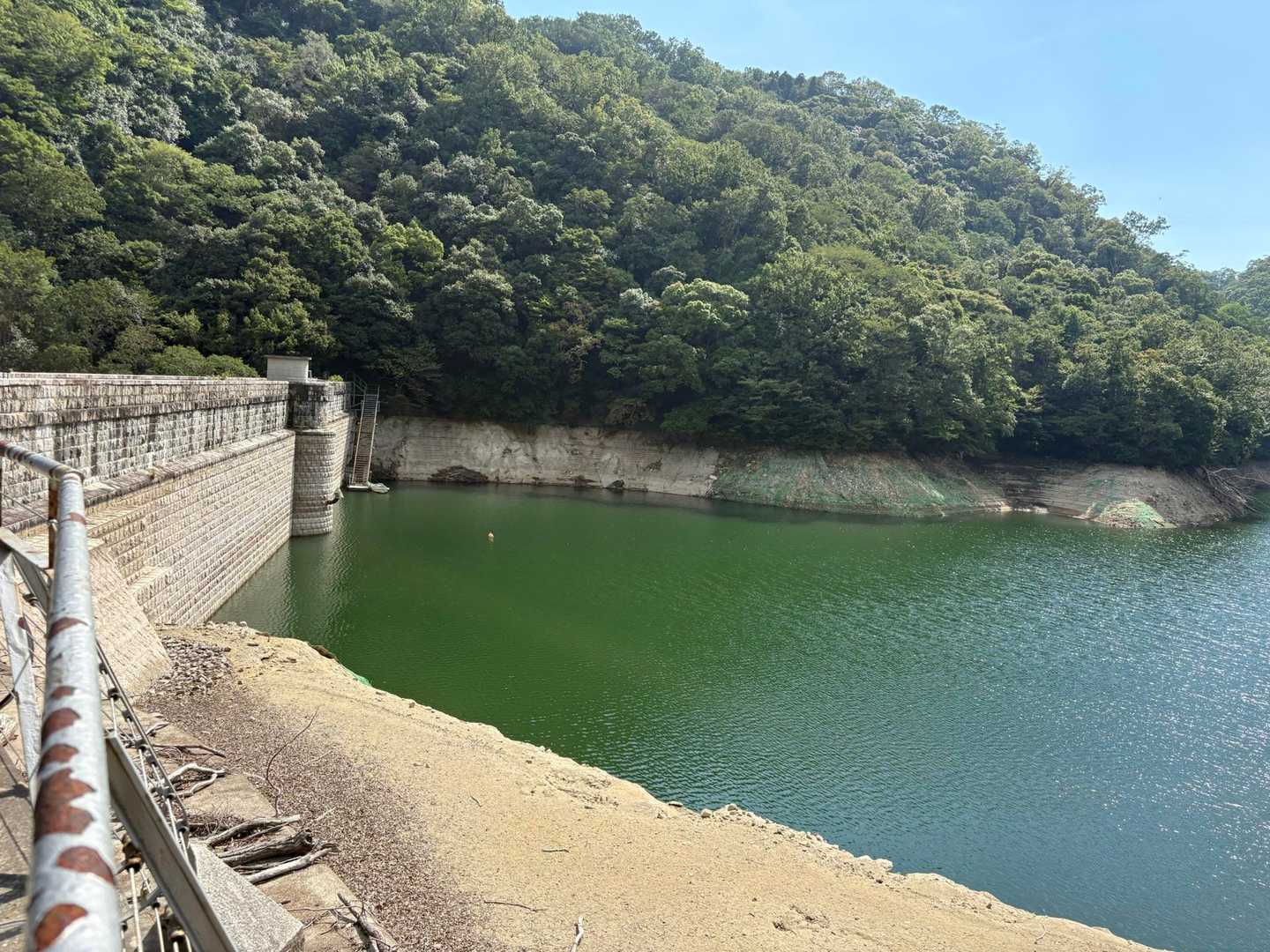 水が少ないです🚰節水します