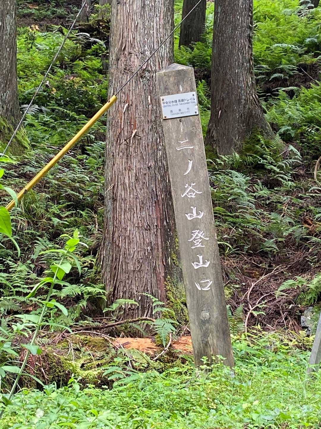 ここから山に入ります