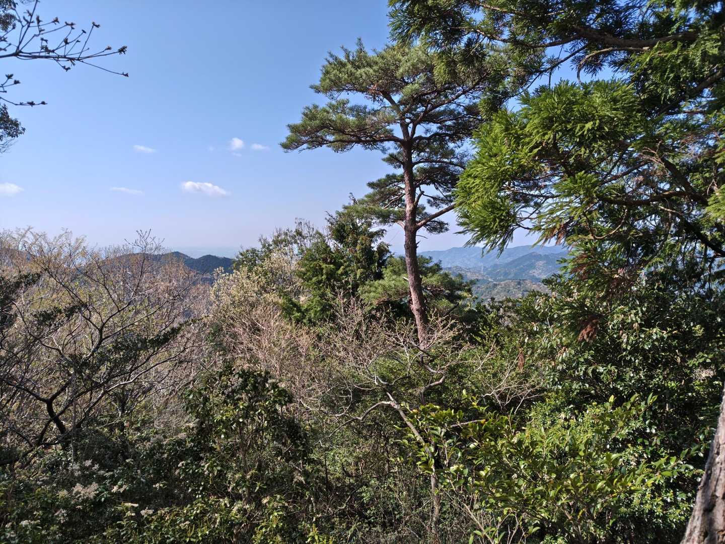 鳥川アルプス 周回コースの写真