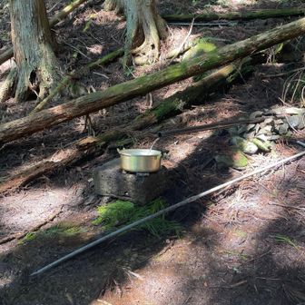 山に少し入ると水場があります。