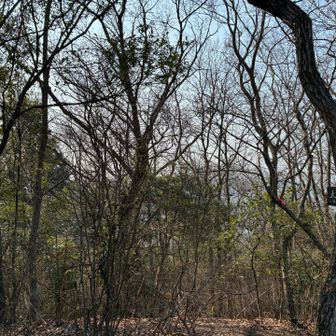 大明神山〜到着🛬