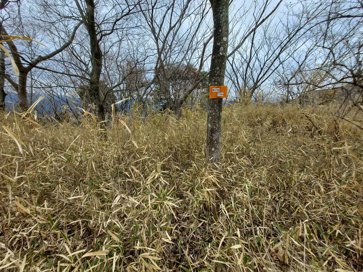 尾子岳登頂