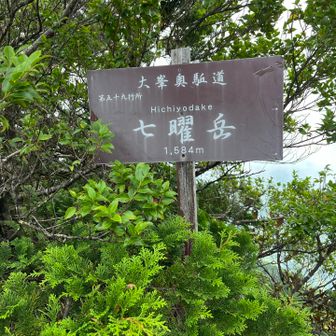 七曜岳到着。滝からここまで600m、きつかった...