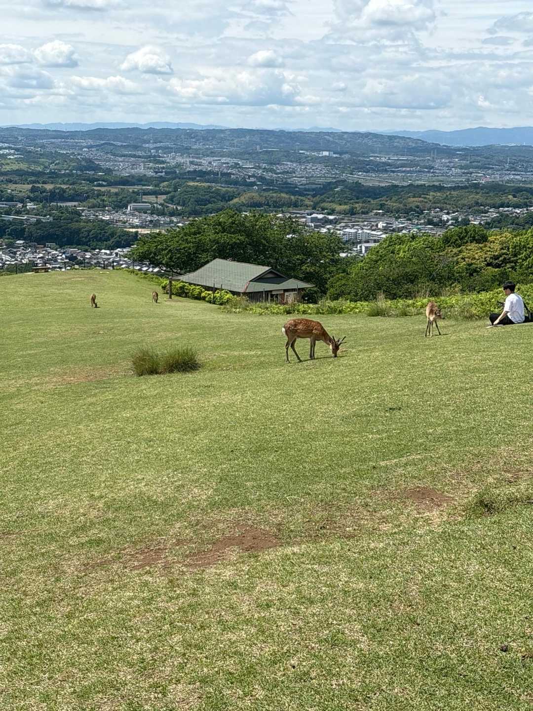 若草山麓バス停-若草山 縦走コースの写真