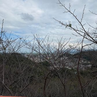 展望所からの眺望。諫早市街地が見えます。