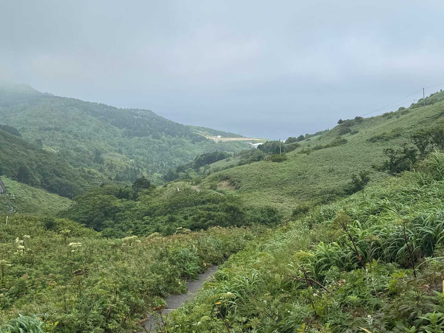 元地灯台-つばめ山-桃岩展望台登山口-礼香寺 縦走コースの写真