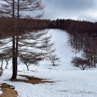 雪は思ったより少ない