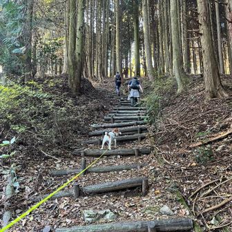 待ってくだせ〜