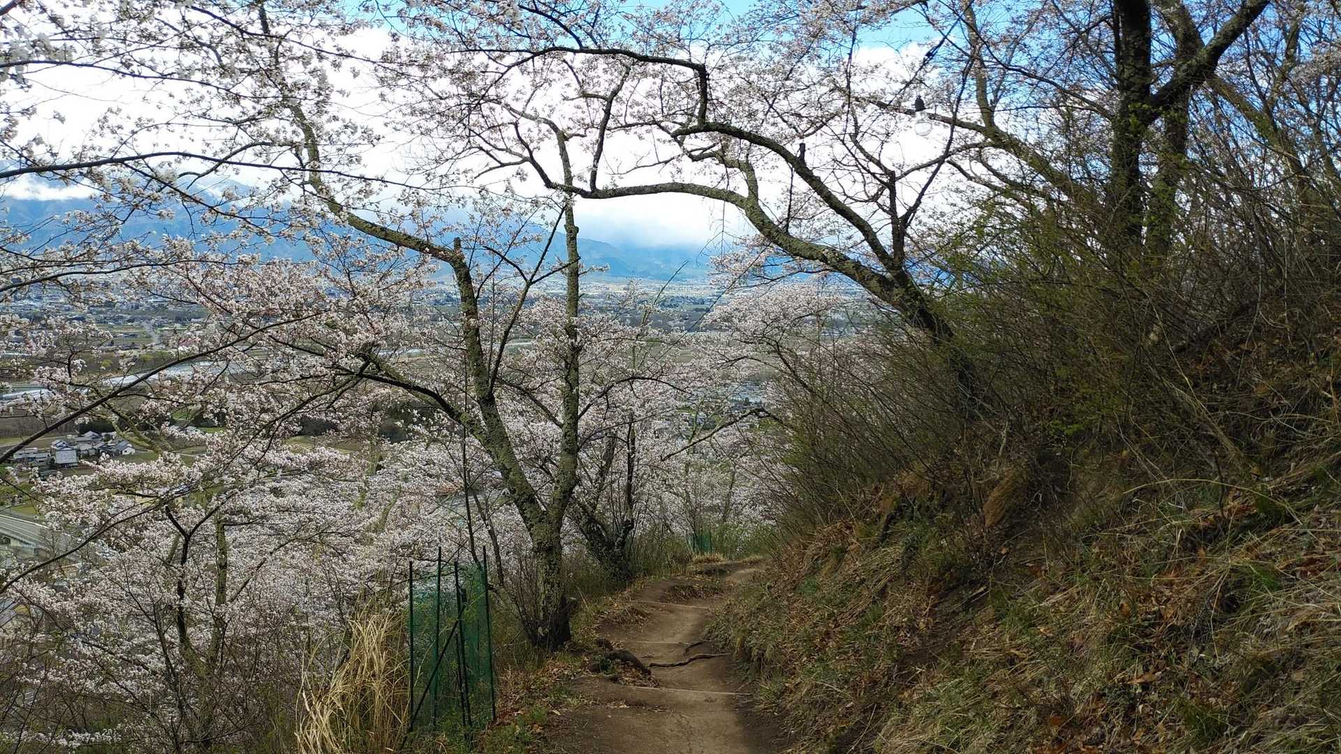 光城山登山口-光城山-烏帽子峰-長峰山 往復コースの写真