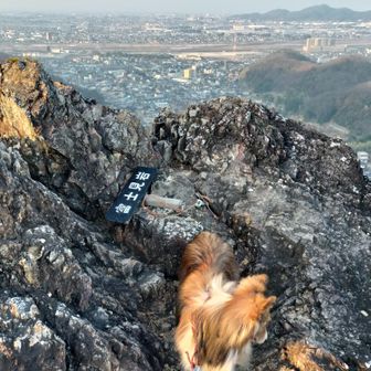 一応富士見岩に寄った