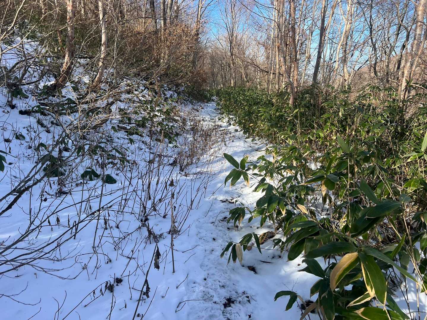 登山道の積雪状況