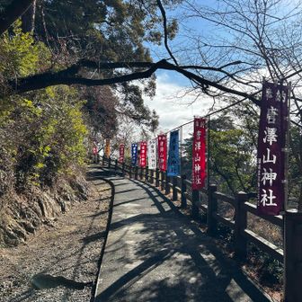 唐澤山神社参道。