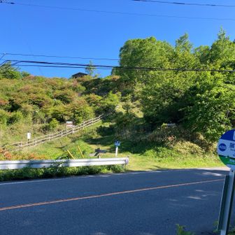 道路を渡ると見晴らし台です