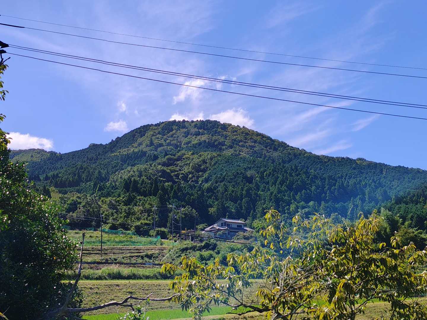 舗装路を歩いてると前方に三草山が見えました⛰️

丸いなだらかな山容が特徴です⛰️