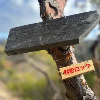 ▪︎君影ロック🪨▪︎