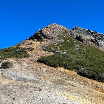 ナオキジエンド