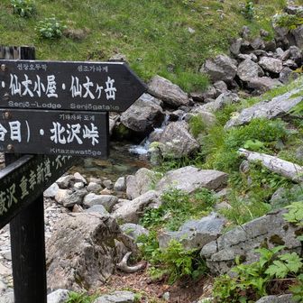 そこからしばらく下ると沢に出ました。
分岐にもなっているようです。