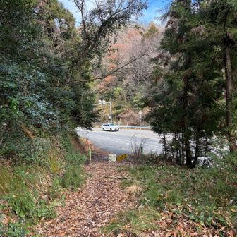 道路　横切ります
