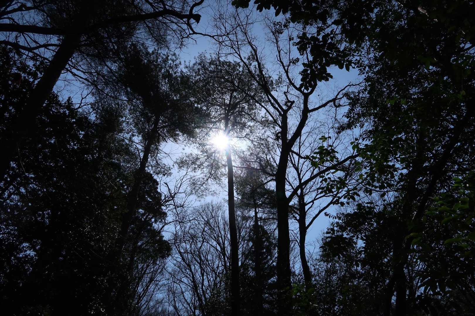 良い天気☀️