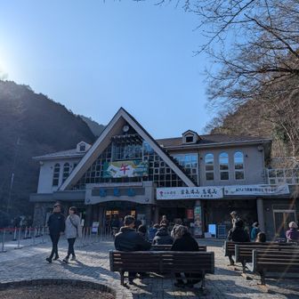 1月とは思えない暖かさ