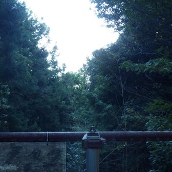 上がって見たけど…。