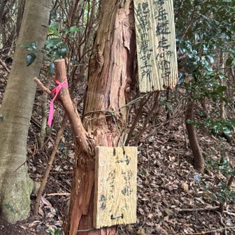 女岳はいつかまた