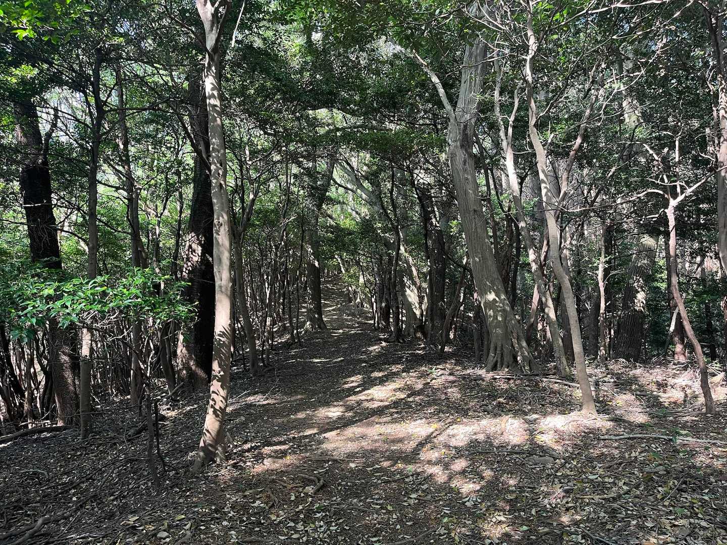 イイ感じ😊