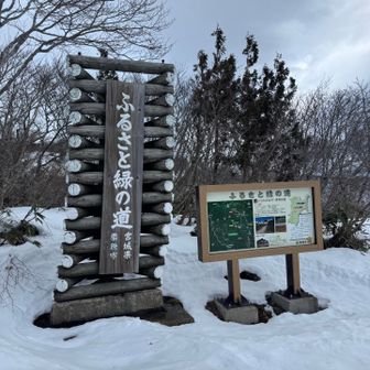 いわかがみ平
到着！

2月になる頃には、
ふるさと緑の道、、、がほぼ埋まるらしい