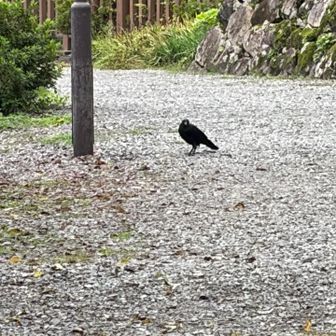 ガラス🐦‍⬛にお出迎えしてもらいました