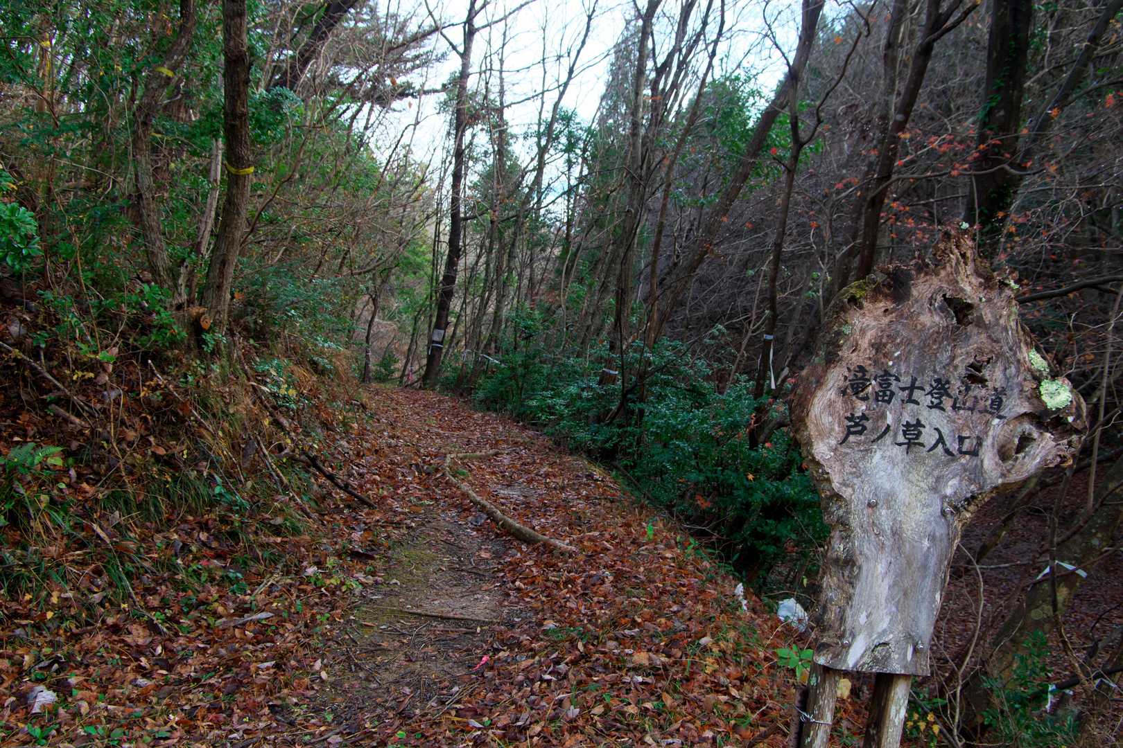芦ノ草登山口まで降りてきました。
