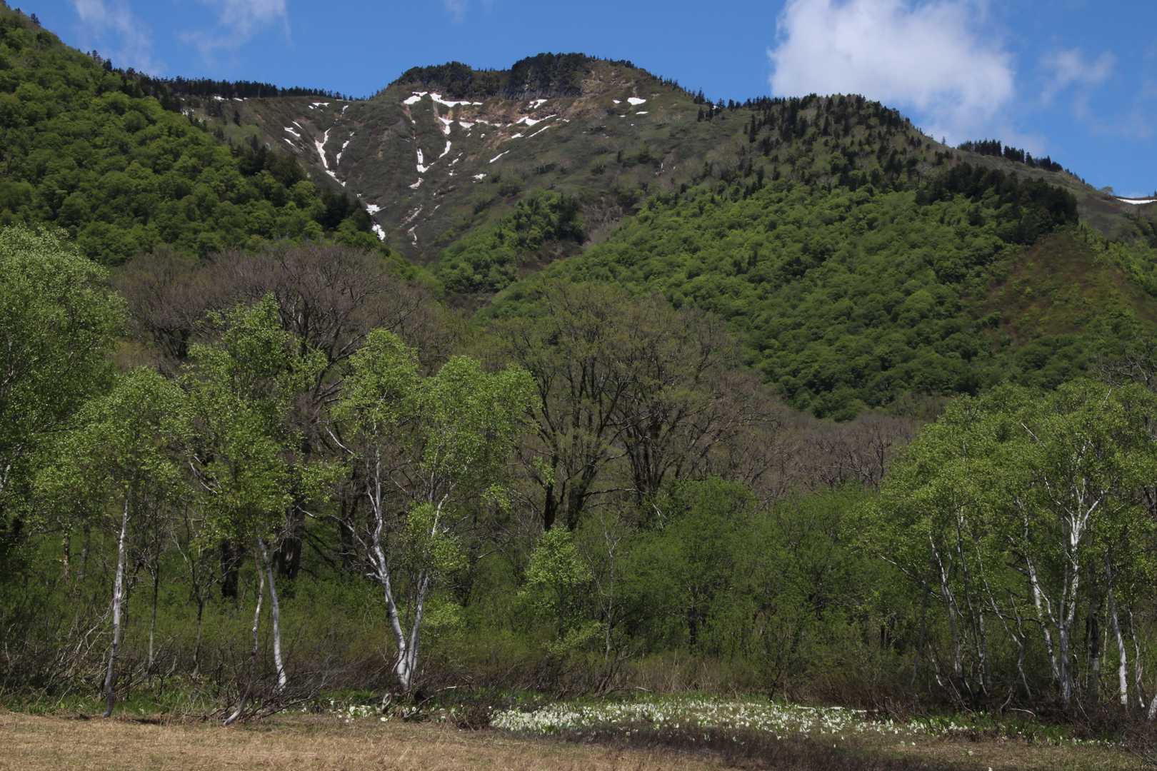 景鶴山は目立ちます