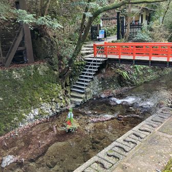 貴船川の正月飾り