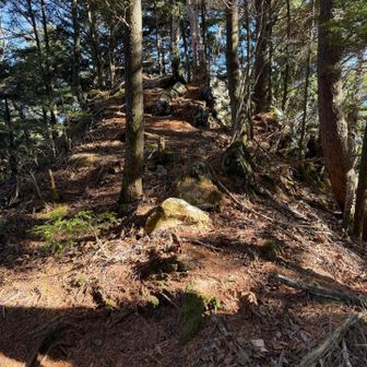 急登エグかった