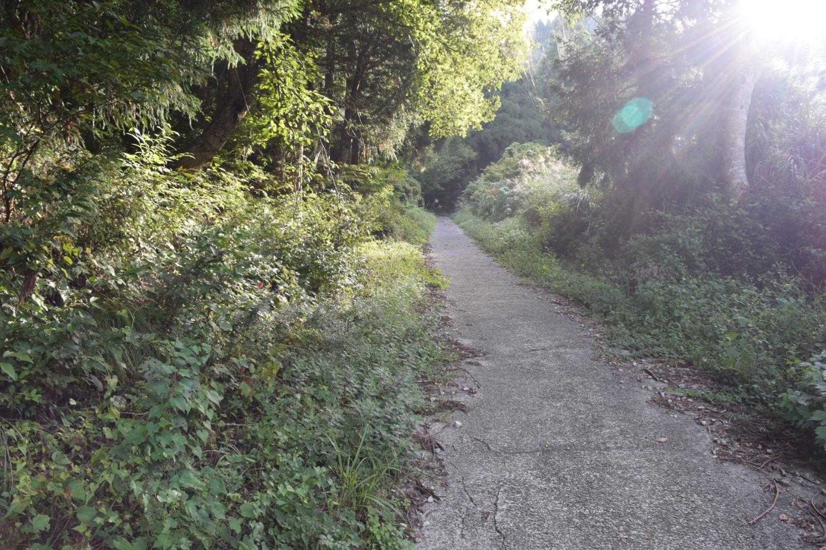 またまた舗装道路