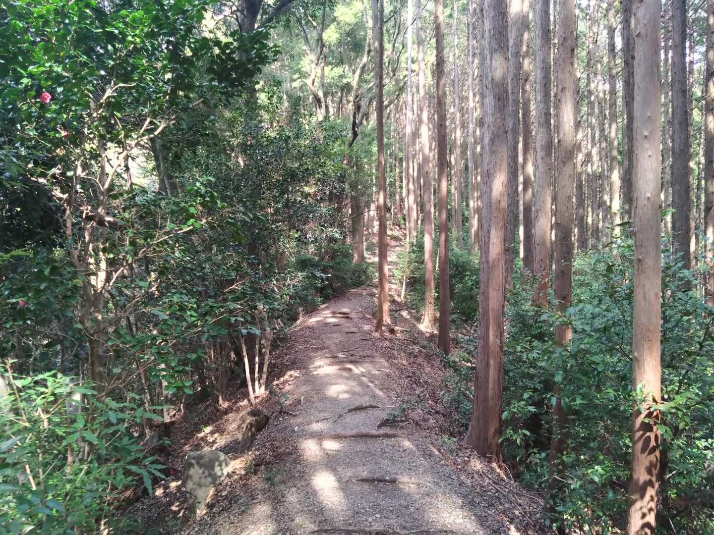 光明山登山口-光明山 周回コースの写真