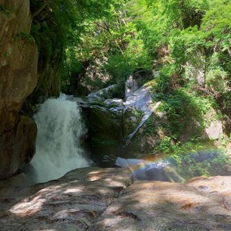 濡れる岩で滑らぬよう気をつけて「旭滝」へ
太陽の光に映えて滝しぶきが七色の虹🌈に～美しいです