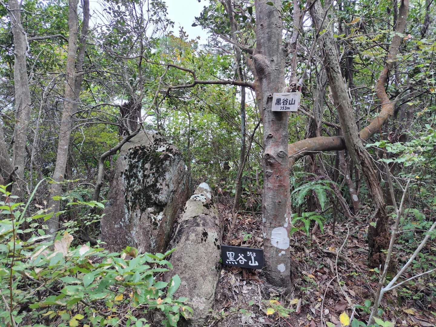 黒谷山
見落とすとこだった